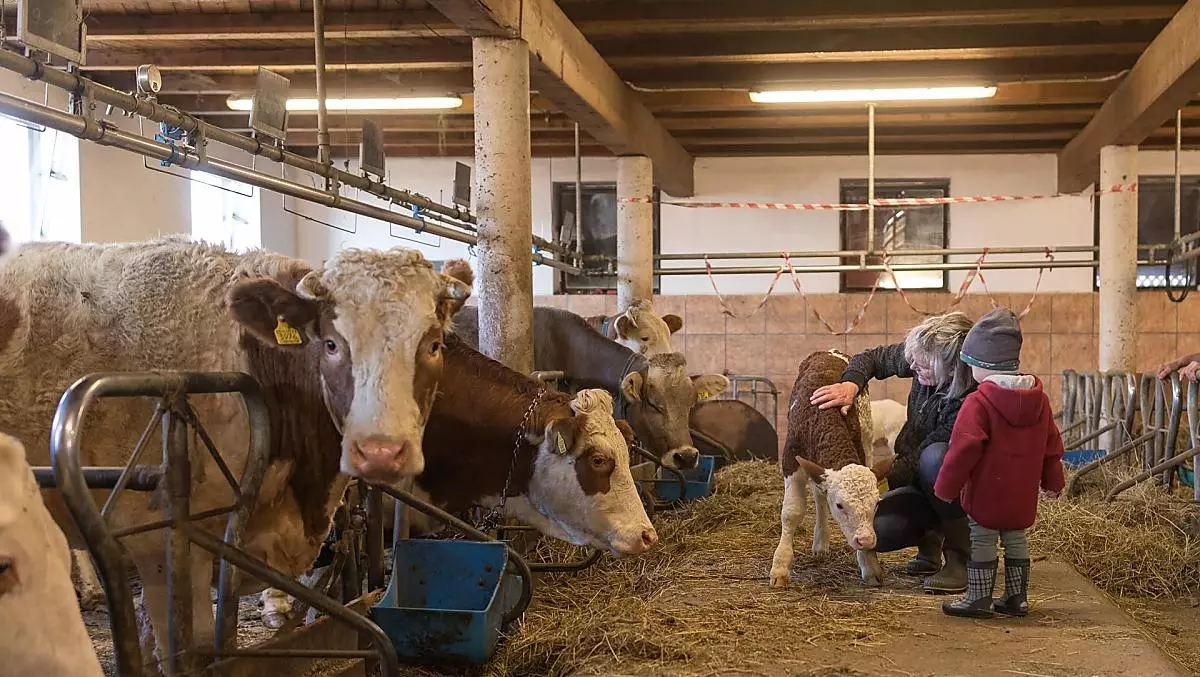 Stalwerkzaamheden meemaken – een onvergetelijke ervaring voor jong en oud.