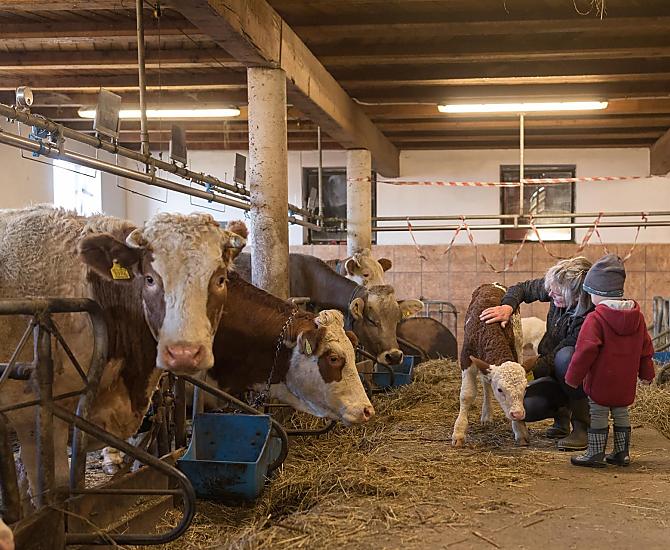 Stalwerkzaamheden meemaken – een onvergetelijke ervaring voor jong en oud.