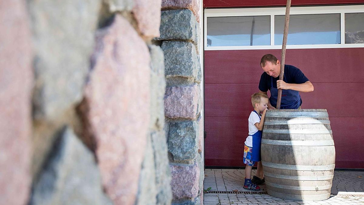 Het biodynamische preparaat hoornkiezel of ook hoornmest worden gedurende een uur met de hand omgeroerd.