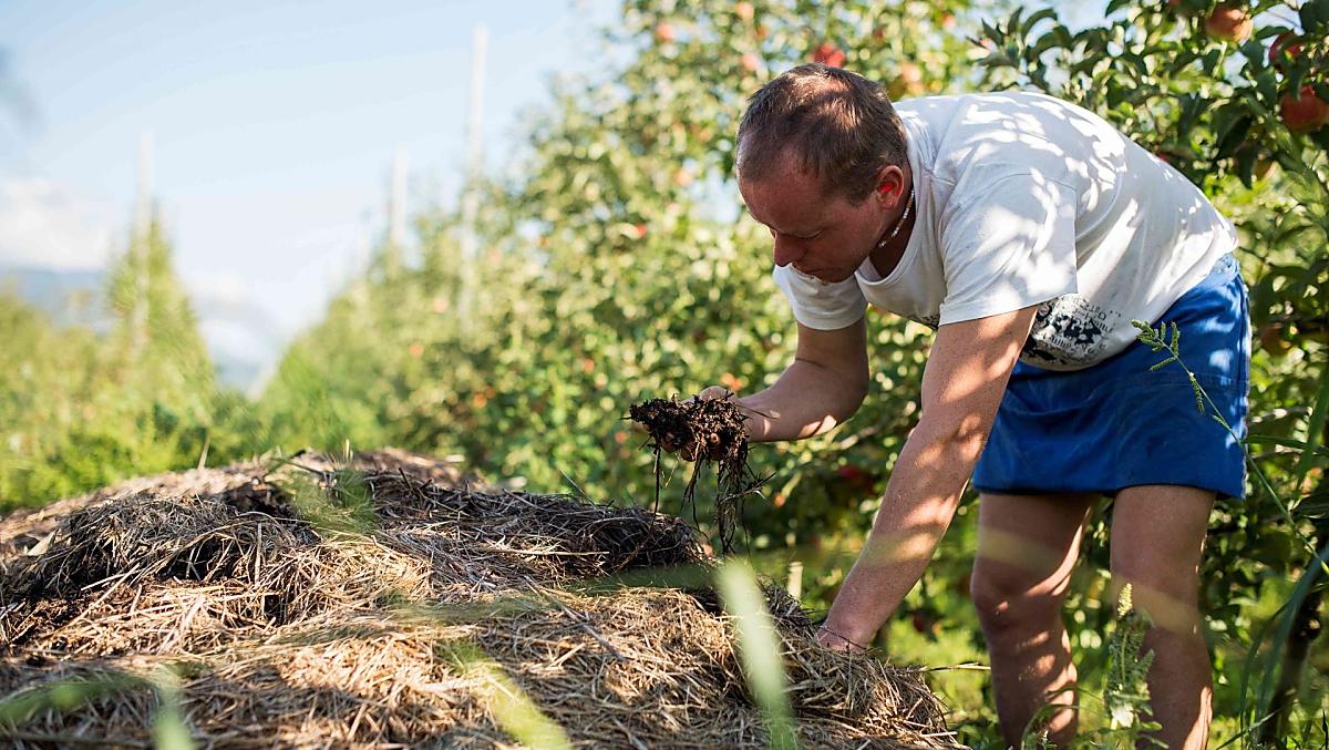 Controle op de compost (meststof)