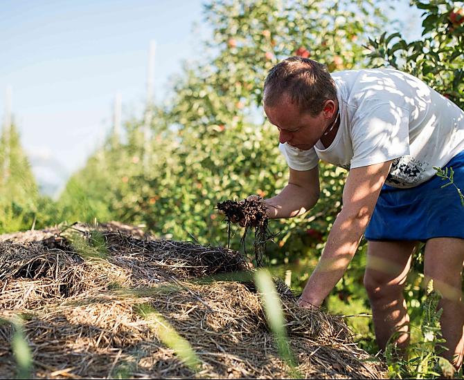 Controle op de compost (meststof)