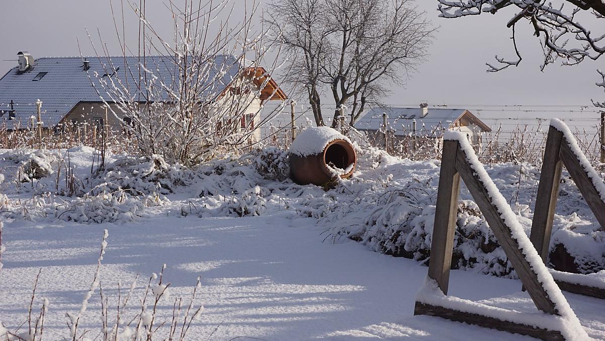 Winteridylle bij de vijver