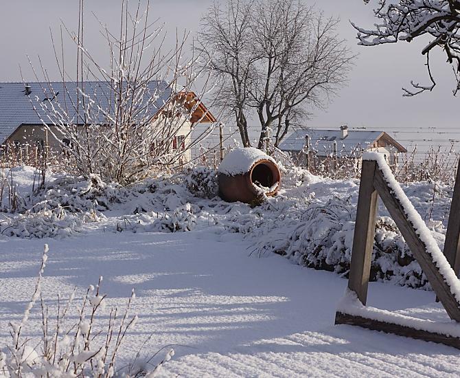 Winteridylle bij de vijver