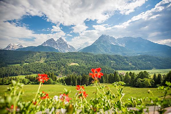 Grossmarerhof - Camere e appartamenti Photo
