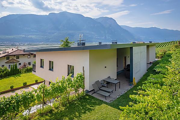 Richtung Weinberge haben Sie eine überdachte Terrasse mit großem Esstisch sowie Liegestühle mit Liegewiese.