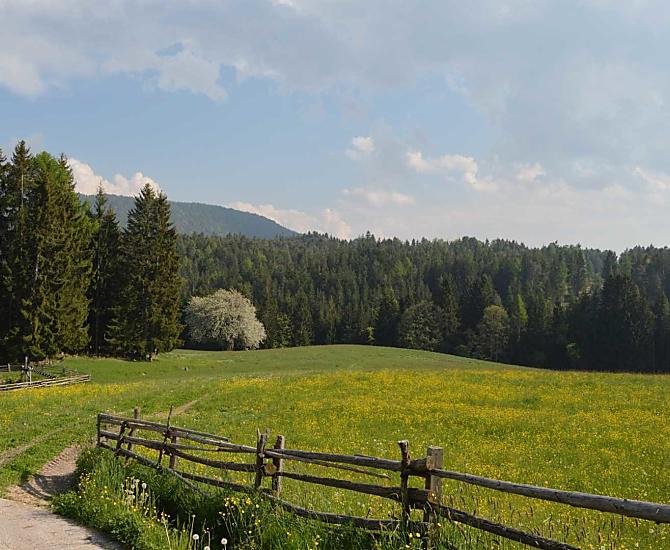 Lentewei