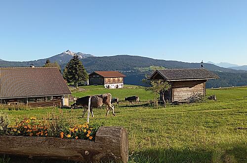 Schadnerhof - rating Photo