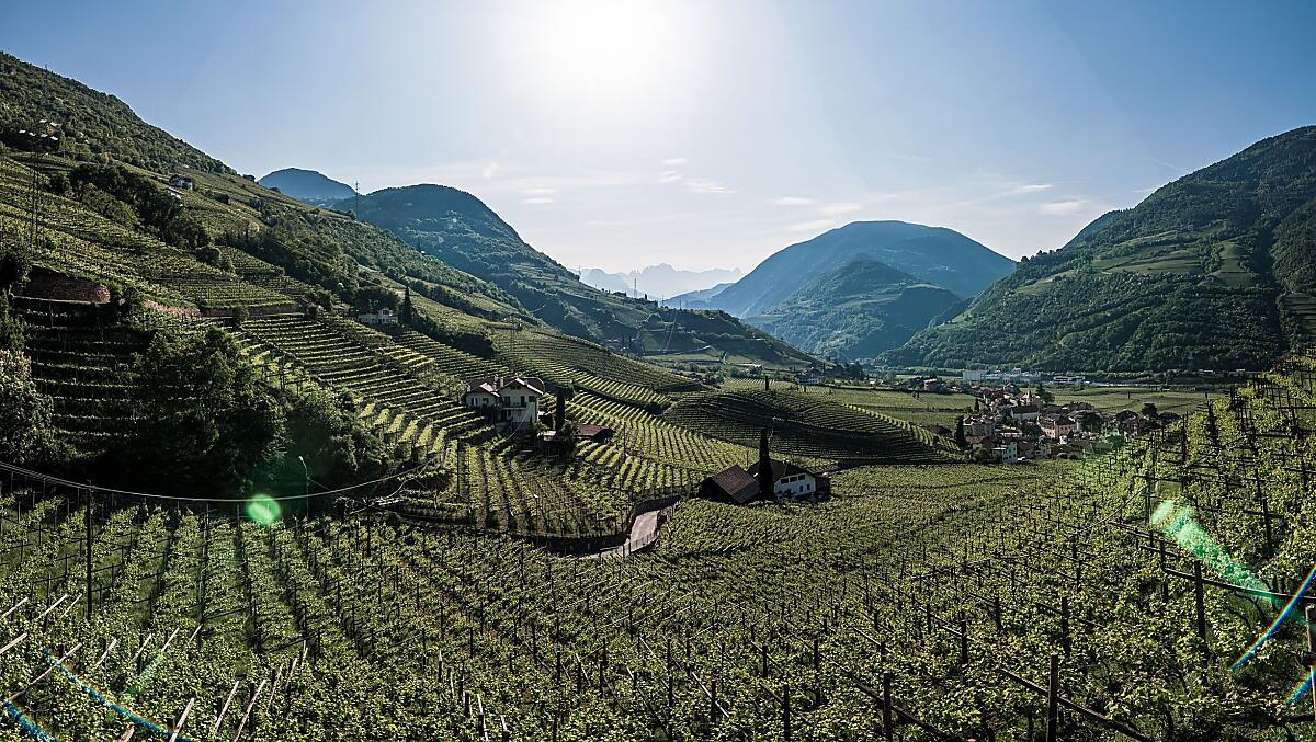 Untermoserhof - Galleria fotografica Photo